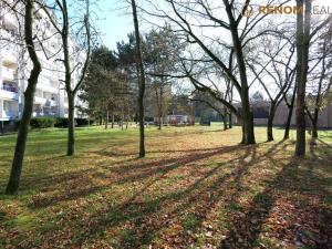 Prodej bytu 3+1, Olomouc, Lužická, 74 m2