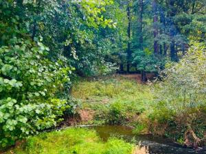 Prodej louky, Rybníky, 1277 m2