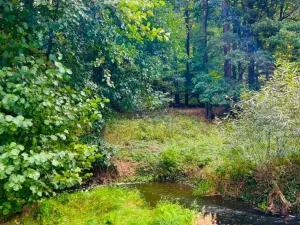 Prodej louky, Rybníky, 1277 m2