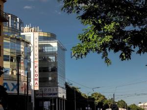 Pronájem kanceláře, Praha - Žižkov, Vinohradská, 387 m2