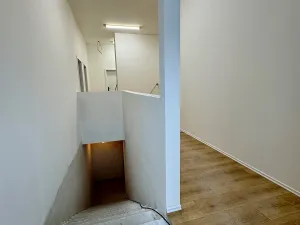 Pronájem ubytování, Brno, Štefánikova, 300 m2