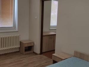 Pronájem bytu 1+1, Staré Město, Velehradská, 35 m2