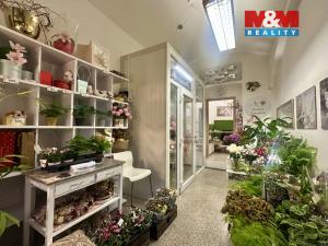 Pronájem obchodního prostoru, Praha - Vinohrady, Francouzská, 24 m2