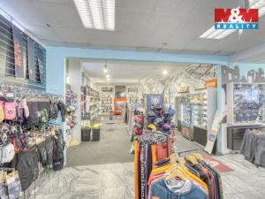 Pronájem obchodního prostoru, Plzeň - Vnitřní Město, Zbrojnická, 598 m2