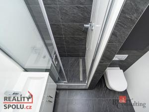 Pronájem bytu 2+kk, Praha - Karlín, U Sluncové, 40 m2