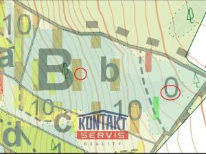 Prodej lesa, Volfířov - Řečice, 12476 m2