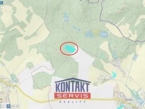 Prodej lesa, Volfířov - Řečice, 12476 m2