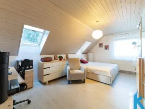 Prodej rodinného domu, Mostkovice, Na Paloučku, 240 m2