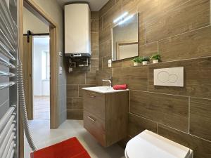 Pronájem bytu 1+kk, Znojmo, nám. Kpt. Otm. Chlupa, 33 m2