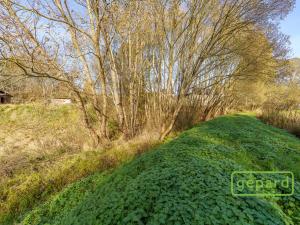 Prodej rybníku, Bochov - Dlouhá Lomnice, 5195 m2