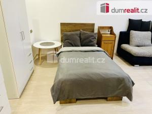 Pronájem bytu 1+1, Mariánské Lázně, Lužická, 33 m2