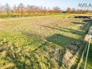 Prodej pozemku pro bydlení, Trhový Štěpánov, Okružní, 1294 m2