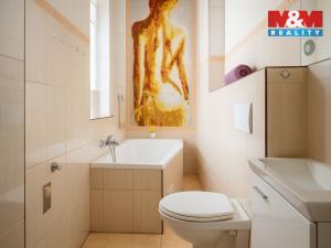 Prodej rodinného domu, Písek - Budějovické Předměstí, Tyršova, 315 m2