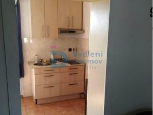 Pronájem bytu 1+kk, Loučany, 45 m2