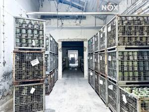 Pronájem skladu, Dětřichov, 6890 m2