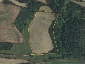 Dražba louky, Dolní Dobrouč, 71151 m2