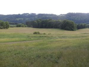 Dražba pole, Městečko Trnávka, 12576 m2