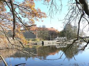 Prodej historického objektu, Tchořovice, 4000 m2