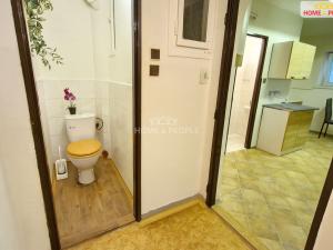 Prodej bytu 1+1, Vyškov - Vyškov-Město, Nádražní, 42 m2