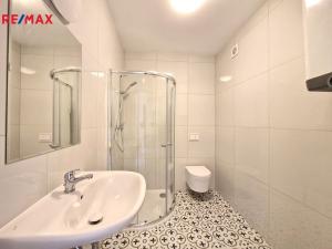 Pronájem bytu 1+kk, Praha - Břevnov, Radimova, 28 m2