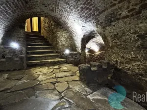 Pronájem restaurace, Prachatice, Velké náměstí, 200 m2