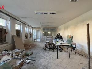 Prodej výrobních prostor, Úpice, Dr. Teuchmanna, 1817 m2