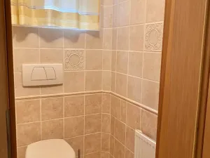 Pronájem bytu 2+kk, Mladá Boleslav, Palackého, 70 m2