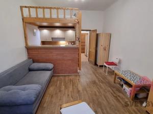 Pronájem bytu 1+kk, Praha - Žižkov, Jagellonská, 34 m2