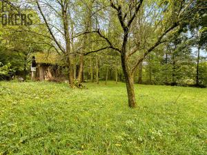 Prodej rodinného domu, Žamberk, U Líšnice, 170 m2