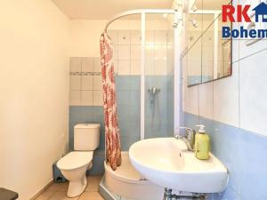 Prodej zemědělského objektu, Břežany II, 128 m2