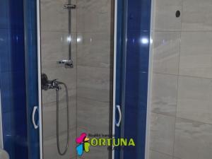 Pronájem bytu 1+1, České Budějovice - České Budějovice 6, Mánesova, 42 m2