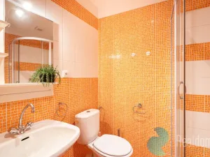 Prodej apartmánu, Benešov nad Černou, 295 m2