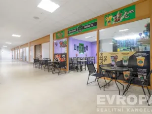 Prodej komerční nemovitosti, Havlíčkův Brod, V Rámech, 1081 m2