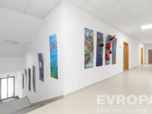 Prodej komerční nemovitosti, Havlíčkův Brod, V Rámech, 1081 m2