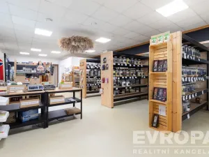Prodej komerční nemovitosti, Havlíčkův Brod, V Rámech, 1081 m2