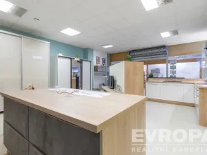 Prodej komerční nemovitosti, Havlíčkův Brod, V Rámech, 1081 m2