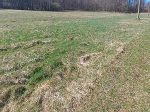 Prodej pozemku pro bydlení, Heřmanov - Fojtovice, 4050 m2