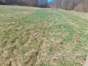 Prodej pozemku pro bydlení, Heřmanov - Fojtovice, 4050 m2