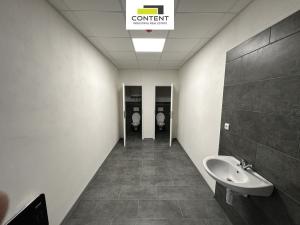 Pronájem výrobních prostor, Tábor - Čekanice, 1300 m2