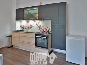 Pronájem bytu 1+kk, Praha - Nusle, Doudlebská, 28 m2