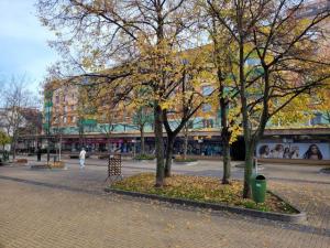 Pronájem bytu 1+1, Pardubice - Zelené Předměstí, Jindřišská, 33 m2