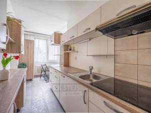 Pronájem bytu 2+1, České Budějovice - České Budějovice 3, Kostelní, 62 m2