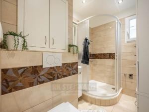 Pronájem bytu 2+1, České Budějovice - České Budějovice 3, Kostelní, 62 m2