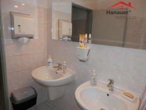 Pronájem kanceláře, Ústí nad Labem - Ústí nad Labem-centrum, U Vlečky, 21 m2