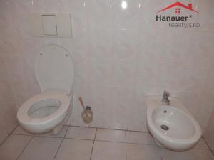 Pronájem kanceláře, Ústí nad Labem - Ústí nad Labem-centrum, U Vlečky, 21 m2