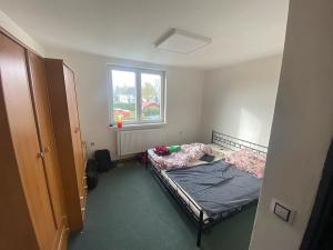 Pronájem - jiné, Cheb, Kamenická, 200 m2