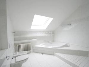 Pronájem bytu 6+kk a větší, Praha - Braník, Psohlavců, 290 m2