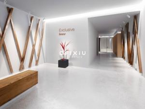 Pronájem kanceláře, Brno - Staré Brno, Nové sady, 50 m2