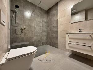 Pronájem bytu 1+kk, Olomouc, Janského, 46 m2