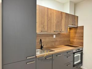 Pronájem bytu 1+kk, Olomouc, Janského, 46 m2